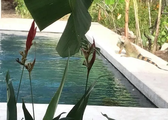 Casa Mango- Family Friendly 2 Bedroom, 2 Bath *